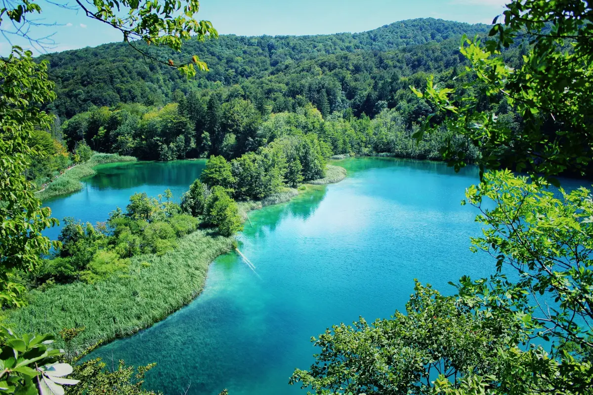 Blick auf einen See, umgeben von Bäumen in einem Wald. Der See hat eine wunderschöne blaue Farbe, und die Bäume haben verschiedene Grüntöne. Es gibt einige Algenbereiche im See. Dieses Bild stammt aus dem Nationalpark Plitvicer Seen in Kroatien